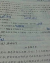 人们可以怎么组词