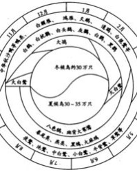 有和鸟怎么读组词
