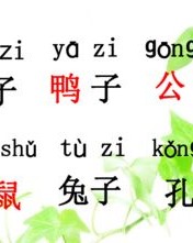 比尾巴组词怎么组