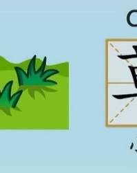 黄字拼音和组词怎么写