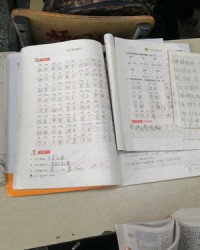 端正的端组词(端正的端组词部首)