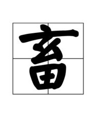 猪是什么怎么组词