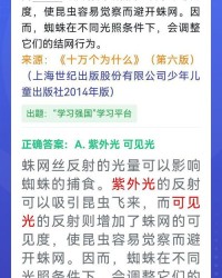 小度蜘蛛的蛛怎么组词