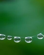 露怎么组词(霭怎么组词)