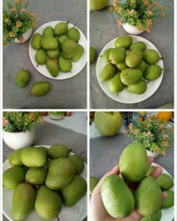 裹怎么组词水果的果