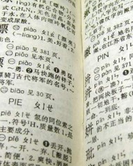 可以怎么组词(贾可以怎么组词)