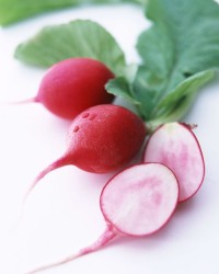 南瓜和萝卜组词怎么组