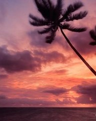 昵怎么组词(暇怎么组词)