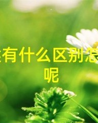 记怎么组词(迅怎么组词)