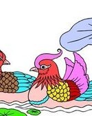 鸳鸯的鸳怎么组词