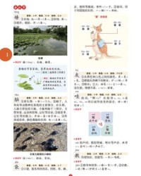 堤怎么读组词(堤怎么组词带拼音)