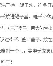 李子的李璃怎么组词