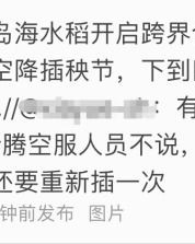 空姐的姐怎么组词