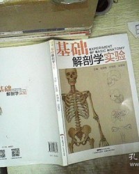 孔子的孔龙怎么组词