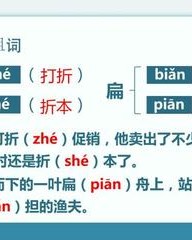 折she怎么组词(折怎么组词组词)