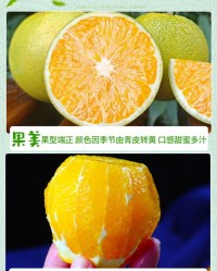 橙子子怎么组词