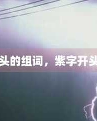 组词紫(组词紫字怎么组词)