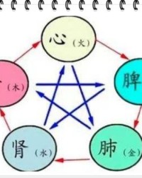 脾气的脾怎么组词组词