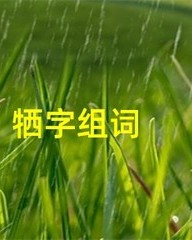 牺怎么组词(牺怎么组词两个字)