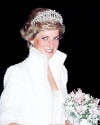 堡怎么组词语(堡组词组什么)