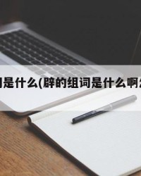 辟的组词是什么(辟的组词是什么啊怎么写呀)