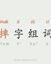 卫字的组词(卫字组词怎么组)