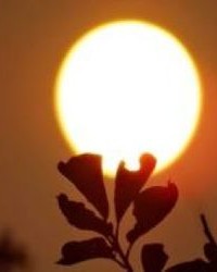 执加偏旁组词(执加偏旁组词语有哪些呢)