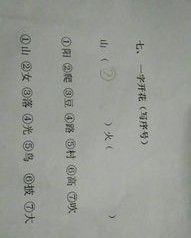 洋气还能怎么组词啊