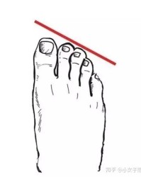 脚趾的脚组词该怎么写