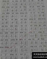 数怎么组词(鼠怎么组词)