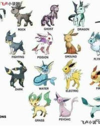 伊布的不怎么组词