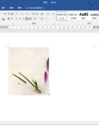 裁剪裁剪的裁怎么组词