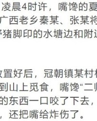 猪的抓怎么组词