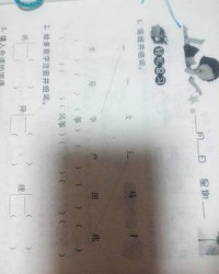 用维组词(维组词怎么组)