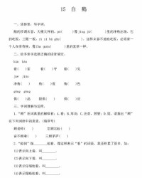 白鹅一课怎么组词