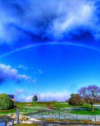 扶的拼音和组词(扶的拼音和组词怎么写呀?)