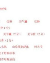 动物动作怎么组词