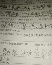 树字怎么组词词