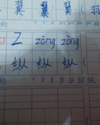 纵组词语(纵组词语和拼音怎么写的)