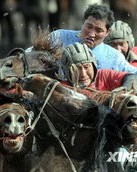 叼羊的叼怎么组词