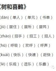 杨群的群字怎么组词