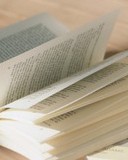 蒲组词(蒲组词和部首)