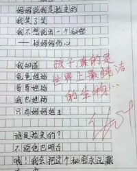 作文所以的所怎么组词