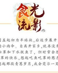 阳光的羊还可以怎么组词