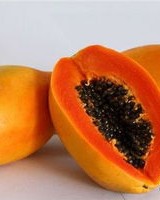 木瓜目怎么组词