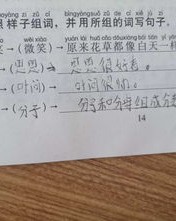 叶开的叶怎么组词