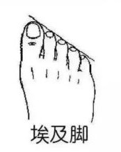 倾斜的鞋还可以怎么组词