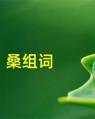 桑字怎么组词(桑,怎么组词)