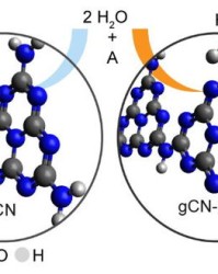 探水的碳怎么组词