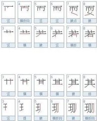 珊字组词(珊字组词和部首)